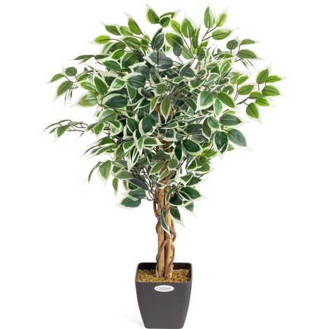 Artificial Variegated Ficus Tree - 90cm (1/5)