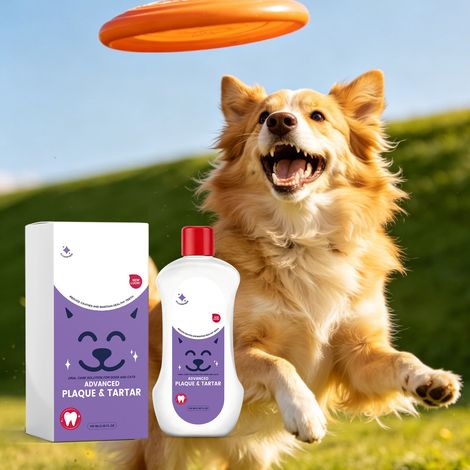 Formule douce au parfum de menthe rafraîchissant pour chiens et chats : soin des gencives, haleine fraîche et nettoyage quotidien – 100 ml (1/5)