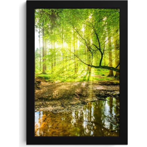 Framed Poster Forest - Landscape - Water - Trees - Sun - Green - Nature 20x30 cm (1/5)