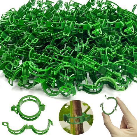 250 attaches pour tomates et plantes grimpantes, idéales pour le jardinage, idéales pour soutenir la culture des tomates et des légumes. (1/5)