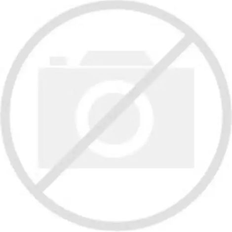 Hansgrohe Aerator 1,5 GPM, 95387000