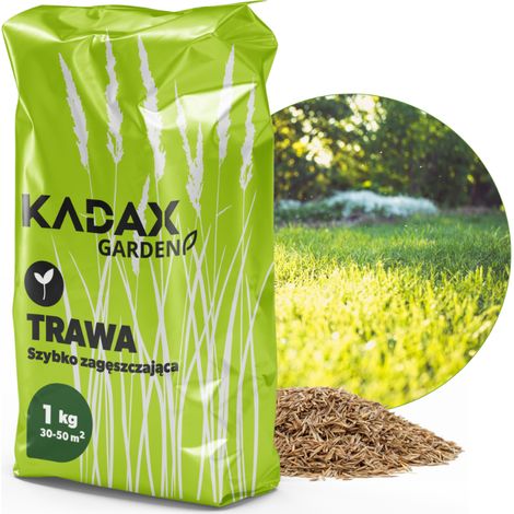 KADAX Rasensamen, Grassamen, schnellwachsendes Gras, 1 kg