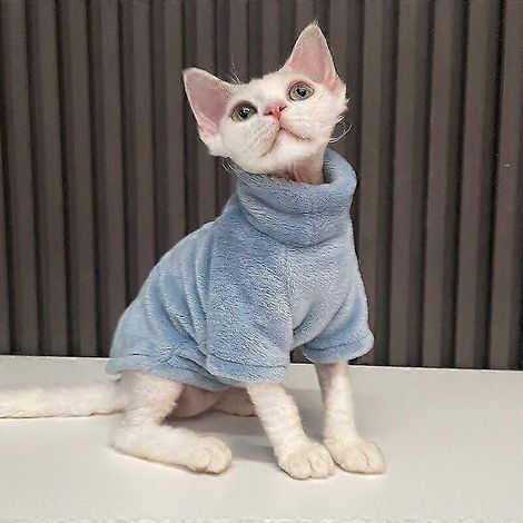 Sudaderas de lana para perros, suéteres para gatos, moda de invierno, ropa gruesa y cálida para perros Sphynx, ropa cómoda para perros pequeños en invierno, color azul Smog. (1/5)