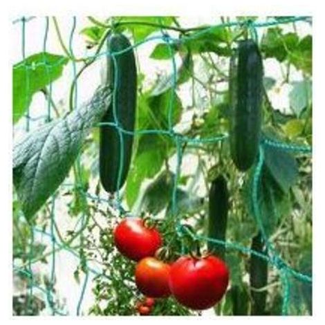 Filet à Ramer avec Maillage Large pour Une récolte particulière Bonne de concombres, tomates et Autres légumes et Plantes grimpantes – Dimensions : 1.82.7m (1/4)