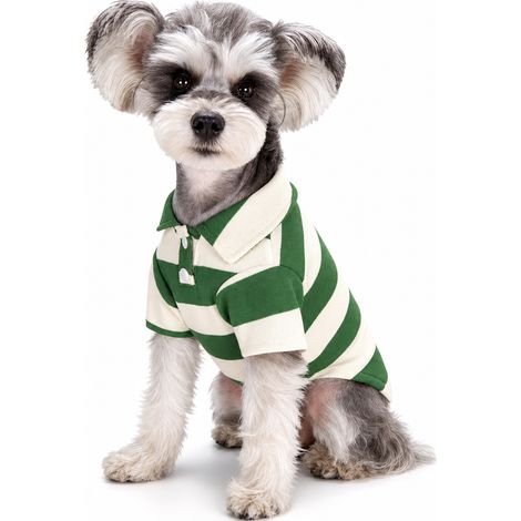 Vêtement d'été pour chien et chat col rabattu vert XS (1/5)