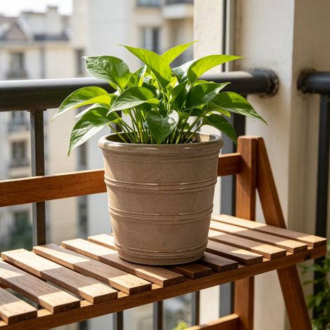 Vaso rotondo da fiori Ø 32 cm in ceramica lucida color tortora, realizzato a mano, resistente al gelo, per uso interno ed esterno. (1/5)