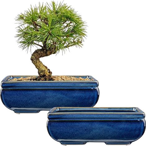 Bonsai Pots Set of 2 Ceramic Bonsai Pots with Drainage Holes for Japanese Bonsai and Home Plants, Retro Decoration for Outdoor Garden Container Set, Diameter (1/5)