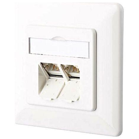 Prise réseau encastré insert avec plaque centrale et châssis CAT 6 2 ports Metz Connect 1307381002-I blanc pur R45342 (1/5)