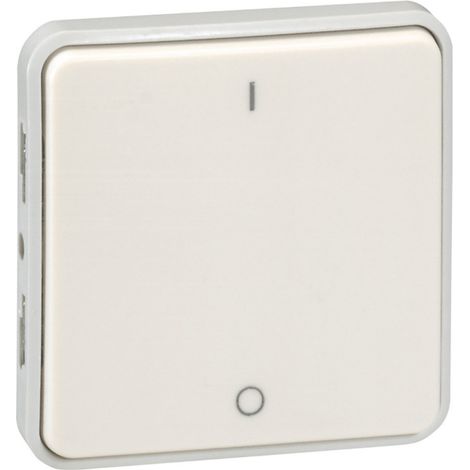 Interrupteur bipolaire Plexo composable IP55 10AX 250V blanc (069627)
