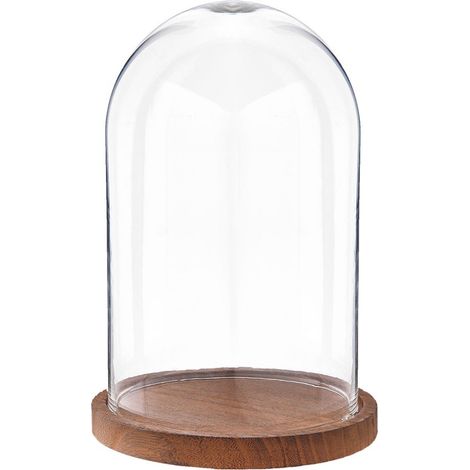 Cloche de Présentation en Verre Transparent avec Plateau en Bois Rustique 17x25 cm - PANGIVO (1/5)