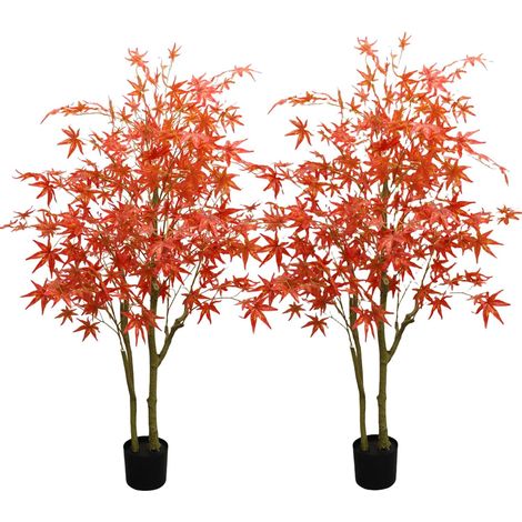 2 érables automne 150 cm double tronc en pot, déco maison mariage (1/5)