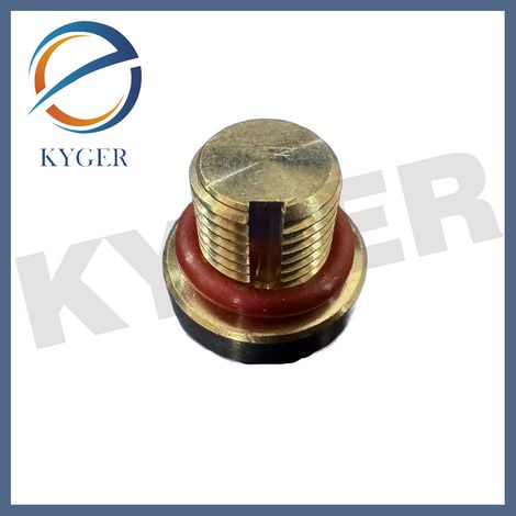 Bouchons de vidange de tuyau de chauffage en laiton LR169925 JDE39965 JDE41370 compatibles avec les Jaguar Land Rover (1/5)