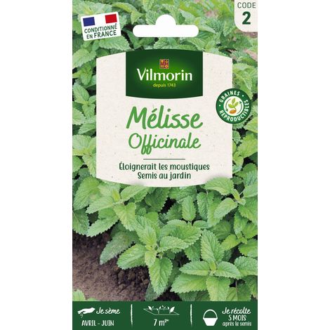 Mélisse Officinale Vilmorin (1/2)