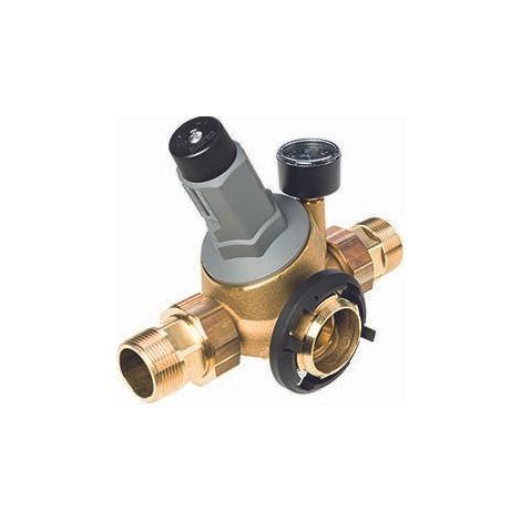 BWT Module de raccordement DR 1 1/4" -130mm LF - Raccord de réducteur de pression, HACCP, 125596766