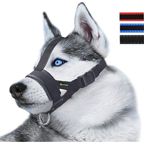 Muselière pour chien avec sangle de tête notamment the retrait par les pattes pour chiens de petite, moyenne et grande taille (L/Noir) (1/5)