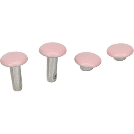500er-Set Ledernieten 6x8mm, galvanisiert, hochfest, aus Metall, weit verbreitet, Doppelnieten für Hut, Gürtel, Schuhe, rosa (1/5)