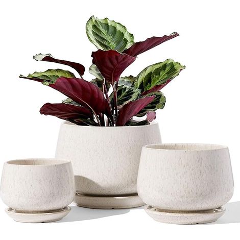 Pot de Fleurs en Céramique, 11+13+17 cm, Lot de 3, Pot avec Trou de Drainage et Soucoupe, Pot d’Intérieur avec Tapis en Maille, Cadeau pour la Fête des Mères, Beige émaillé (1/5)