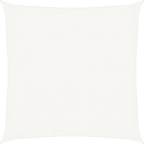Maison Exclusive - Sonnensegel 160 g/m² Weiß 2,5x2,5 m HDPE