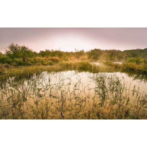 Papier peint panoramique naturel,romantique Vue du Matin II (1/4)