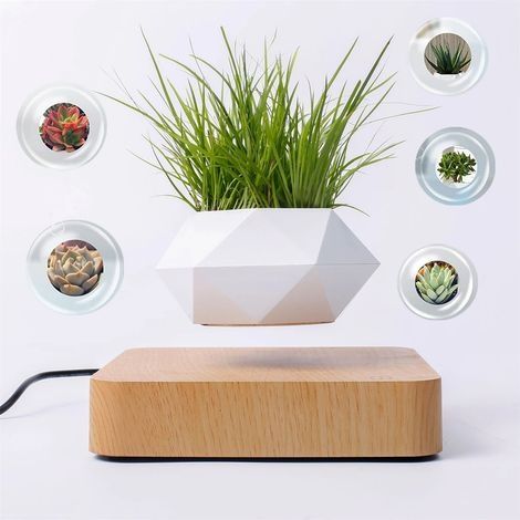 Pot de fleurs magnétique flottant en lévitation, bonsaï à Air, Vase de plante, Rotation à 360 degrés, jardinière en Pot pour décor de bureau et de maison(couleur claire) (1/5)