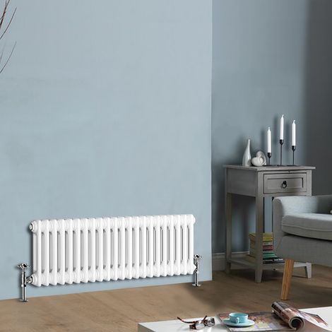 300 X 1010 mm Traditional White Horizontal Cast Iron Radiator Double Column (1/4)