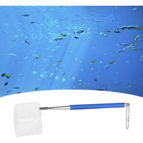 Épuisette Pisciculture avec Manche Telescopique en Acier Inoxydable et Nylon - Fine Maille Sécurisée pour Aquarium et Bassin