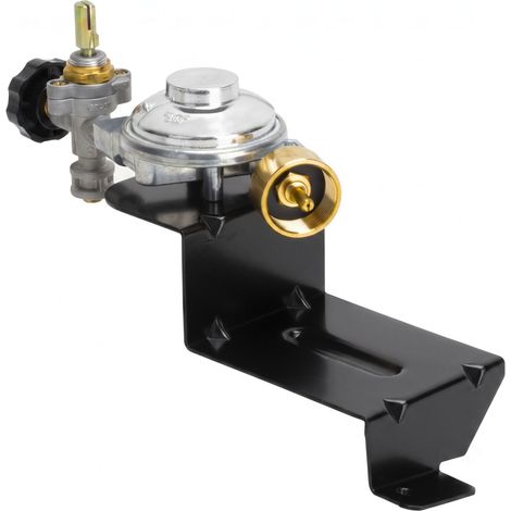 Régulateur de Gaz Weber 80477 – Compatible Q100/Q120 – Remplacement pour Grille à Gaz (1/3)