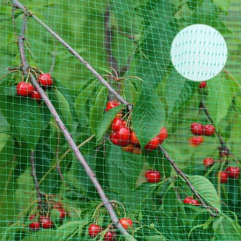 Filet Anti Oiseaux, 6X10m Filet de Jardin, Filet Anti Pigeon, Vert Filet de Protection, Filet Jardin Potager, Protèger Les Plantes, Les légumes, Les Fruits, Maille Fines de 2 x 2 cm (1/5)