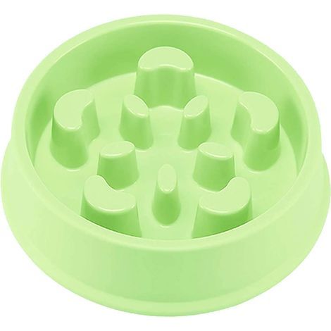Bol de nourriture lente pour chiens-