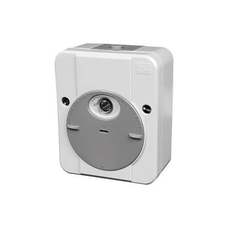 Merten 544894 Interruptor gris claro 10 A IP54