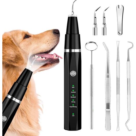 Kit d'enlèvement de plaque dentaire, de nettoyage des dents à ultrasons pour animaux domestiques, de tartre et de taches, convient pour chiens et chats (Noir) (1/5)