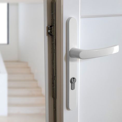 Ouvre&Déco – 2 poignées de porte d'entrée Aluminium blanc mat sur plaque étroite 25 mm saillie réduite entraxe 195 mm, BALTIC (1/5)