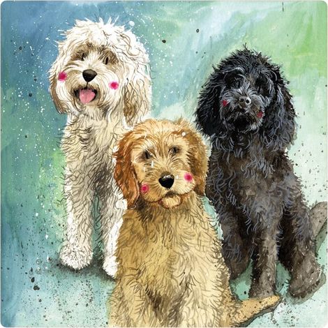Magnet FM229 Cockapoo Hunde