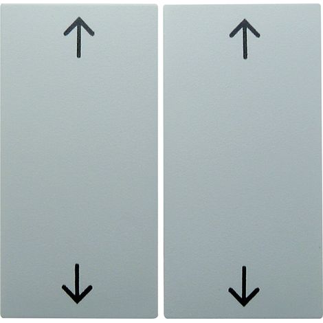 Placca di finitura Berker 16441909 termoplastica opaca 10,2x10,2 cm