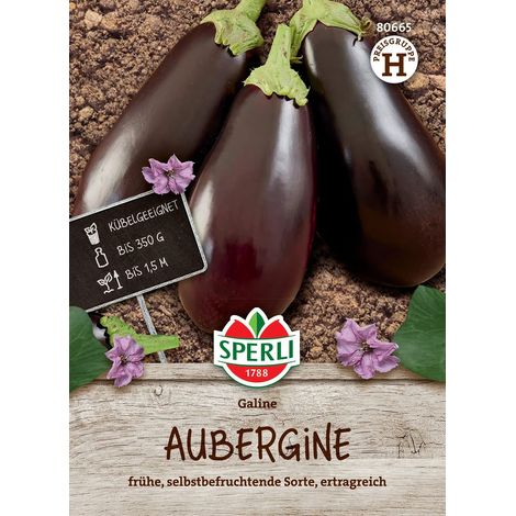 Sperli Auberginen Galine F1 - Hybride - Gemüsesamen (1/2)