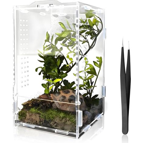 Faunarium Terrarium en acrylique pour terrarium à insectes, boîte d'élevage, boîte d'élevage, multi-usages avec pince à nourrir, pour reptiles, araignées, amphibiens, grenouilles, insectes, tarentules (1/5)
