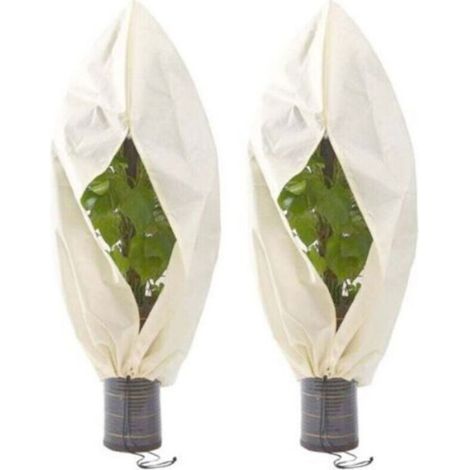 Paquet de 4 piquets de plantes à arrosage automatique, dispositif d'arrosage automatique en forme d' (1/4)