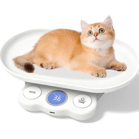 Balance numérique pour animaux de compagnie pour petits animaux, mini balance pour animaux de compagnie 15 kg (±1 g), balance numérique LCD pour chats et petits animaux de pesée, balance (1/5)