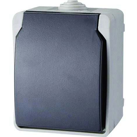GAO 9871 Feuchtraum-Schalterprogramm Schutzkontakt-Steckdose Standard Grau 1 St.