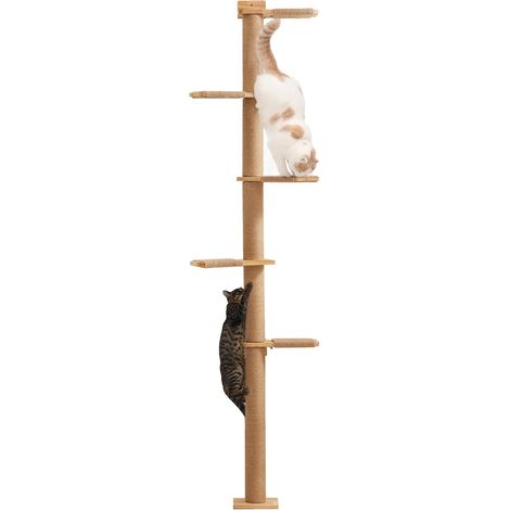 Arbres à Chat 205,7 cm, 5 Étages du Sol au Plafond, Griffoir Mural pour Chat, Étagères Murales pour Chat, pour Grimper, Gratter, Observer et Jouer (1/5)