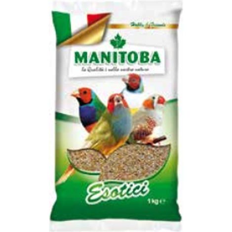 Esotico Manitoba - 1 kg