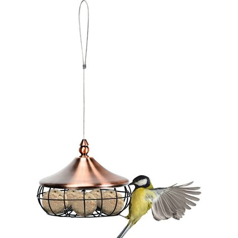 Mangeoire suspendue pour oiseaux sauvages en métal et plastique avec panier grillagé et couvercle protecteur pour jardin (1/5)