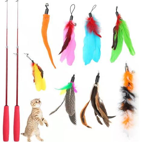 Jouet à Plumes pour Chats,10 Pièce Jouets Chat,Jouets à Plumes,Jouet pour Chat,2 Rétractable Canne a Peche Jouet avec 8 Recharges,Interacti pour l'intérieur Chats et Chatons (1/5)