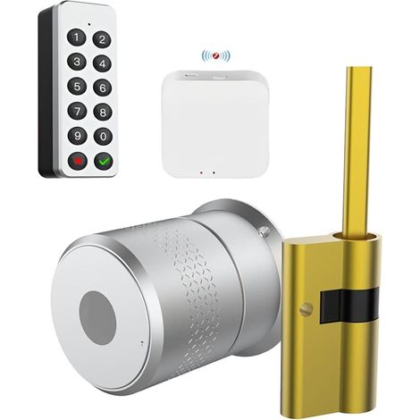 Serrure de Porte Intelligente Serrure Intelligente Tuya TTlock Cylindre d'empreintes digitales Bluetooth for Porte 50-100mm épaisseur Support WiFi Serrure for Maison Intelligente (Color : Gatway Keyb (1/5)