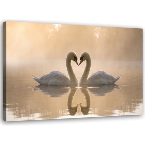 Tableau déco Cygnes amoureux en mer 60x40 (1/5)