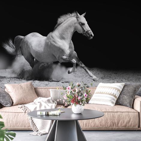 Papier peint panoramique - Cheval - 130 cm x 86 cm (1/4)