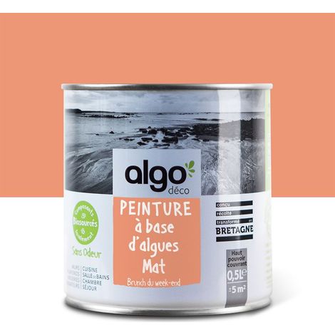 Peinture écologique Algo - Mat - Orange Brunch du week-end - 0.5L (1/5)
