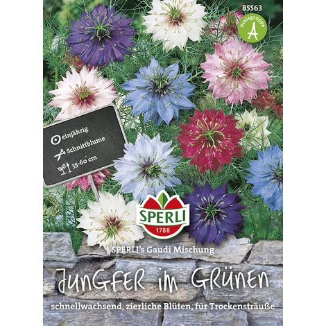 Sperli Jungfer im Grünen SPERLI´s Gaudi Mischung - Blumensamen (1/2)