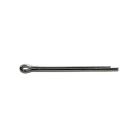 Spina divisa - 5/32'' × 2 1/2''