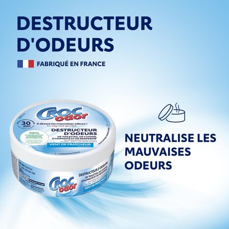 Destructeur d'odeurs vent de fraîcheur 300g (1/5)